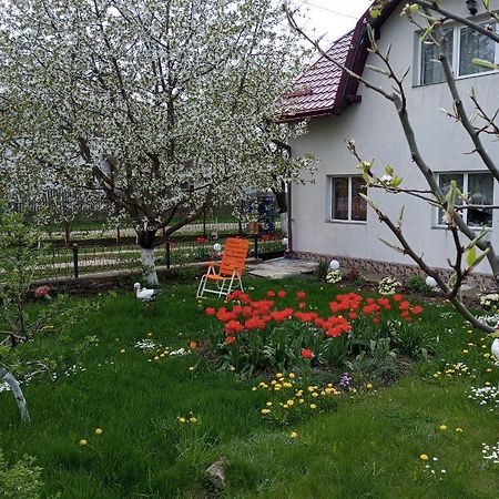 Villa Casuta Bunicilor Dorna Cindrenilor Exterior foto