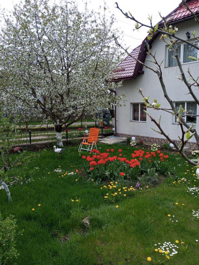 Villa Casuta Bunicilor Dorna Cindrenilor Exterior foto