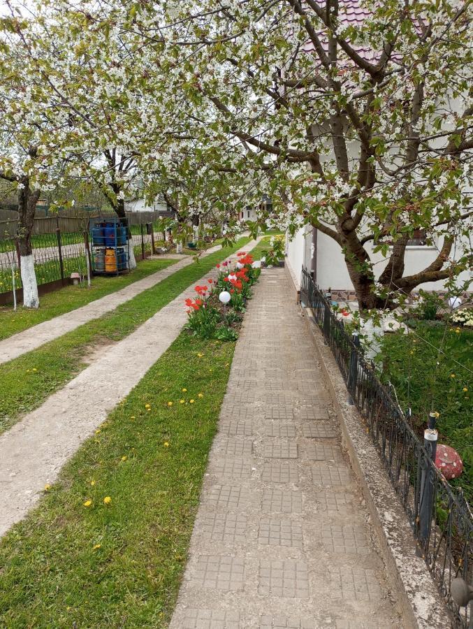 Villa Casuta Bunicilor Dorna Cindrenilor Exterior foto