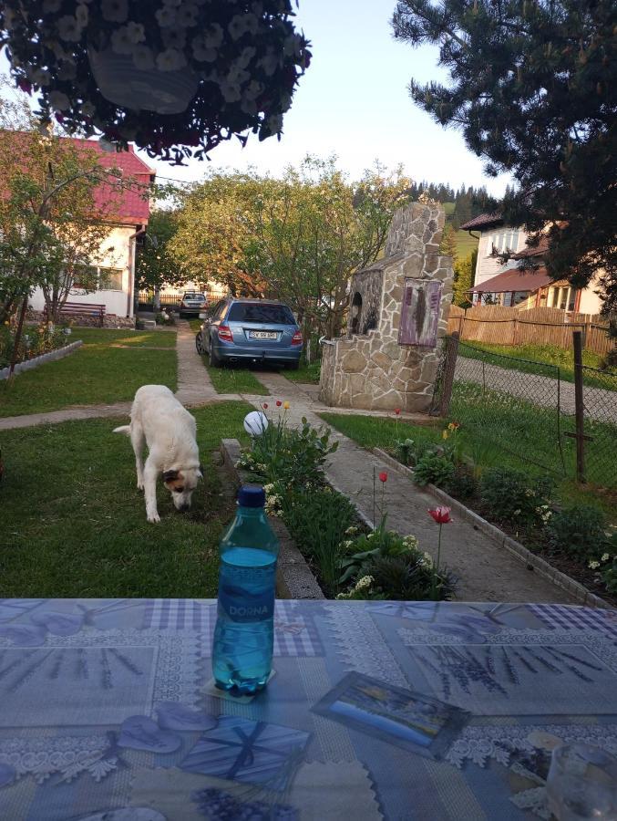 Villa Casuta Bunicilor Dorna Cindrenilor Exterior foto